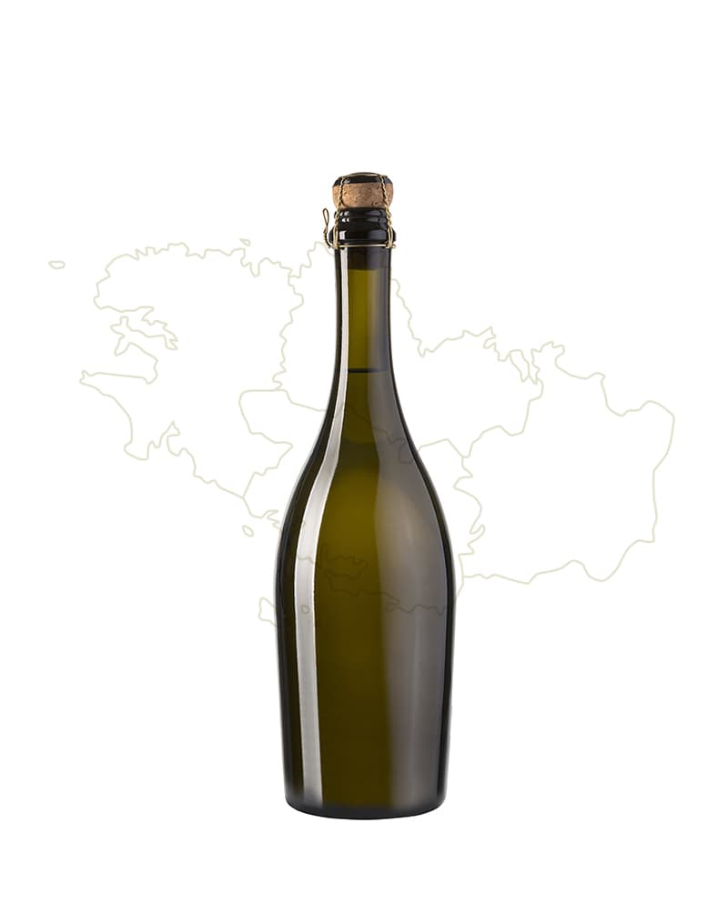 Chilean Bordeaux hover